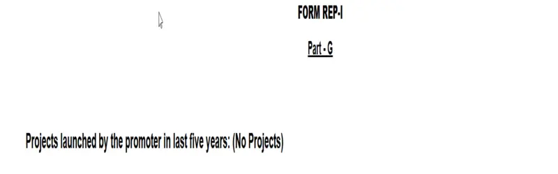 Excerpt from Estate 361 Form REP-I (Part G) stating that the promoter had not launched any projects during the previous five years.